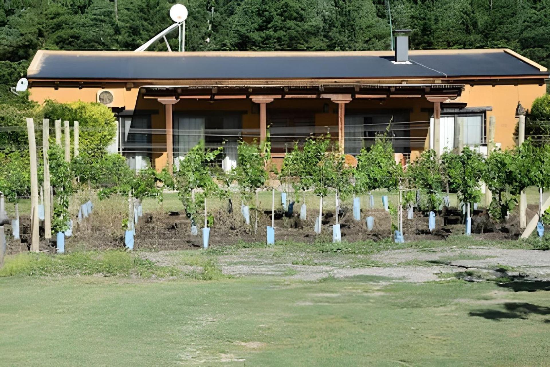 Finca Ogawa Los Sauces  Exterior foto