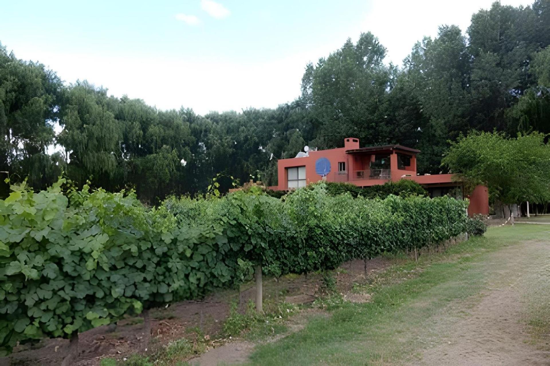 Finca Ogawa Los Sauces  Exterior foto
