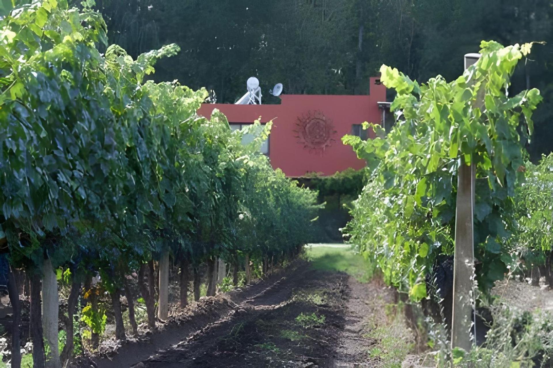 Finca Ogawa Los Sauces  Exterior foto